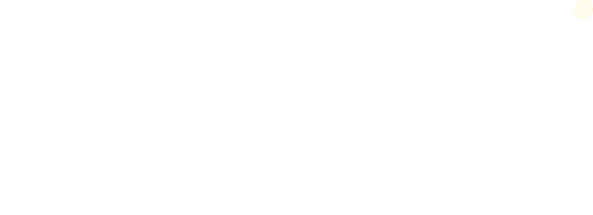 Level - partner logo