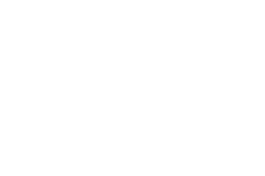 Zango - partner logo